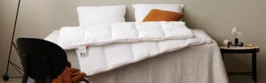 1920x600px-1.webp